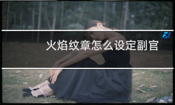 火焰纹章怎么设定副官