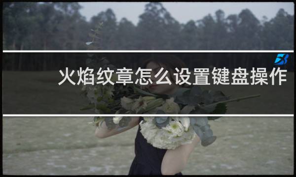 火焰纹章怎么设置键盘操作