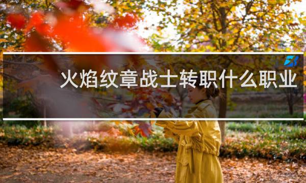 火焰纹章战士转职什么职业