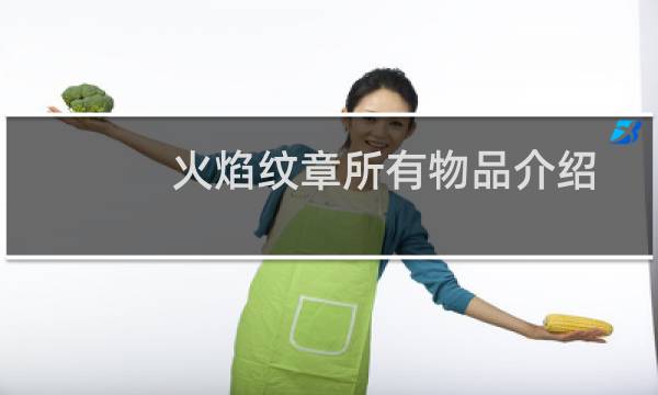 火焰纹章所有物品介绍