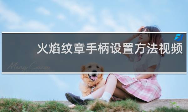 火焰纹章手柄设置方法视频