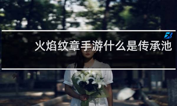 火焰纹章手游什么是传承池