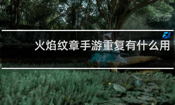 火焰纹章手游重复有什么用