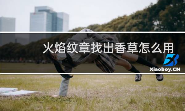 火焰纹章找出香草怎么用
