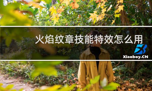 火焰纹章技能特效怎么用