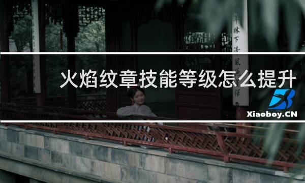 火焰纹章技能等级怎么提升