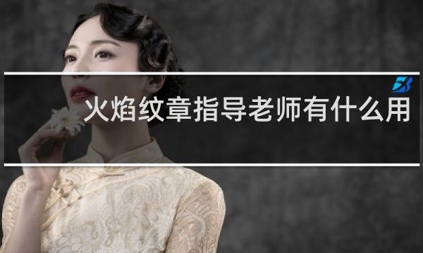 火焰纹章指导老师有什么用