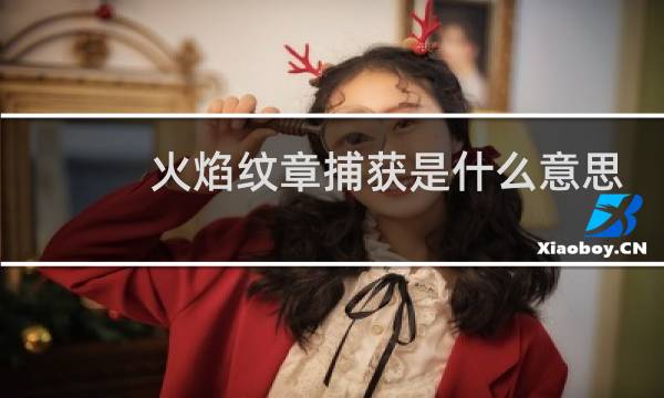 火焰纹章捕获是什么意思