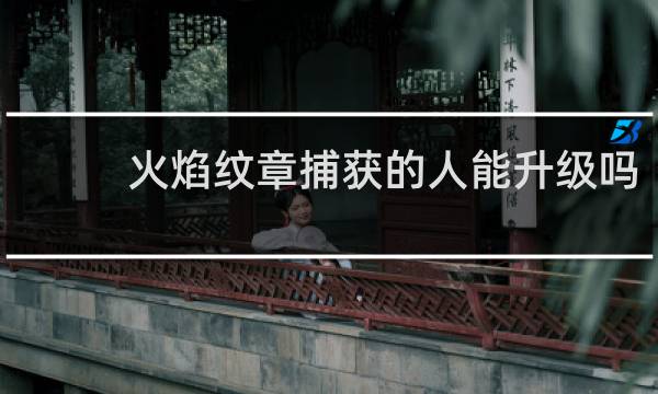 火焰纹章捕获的人能升级吗