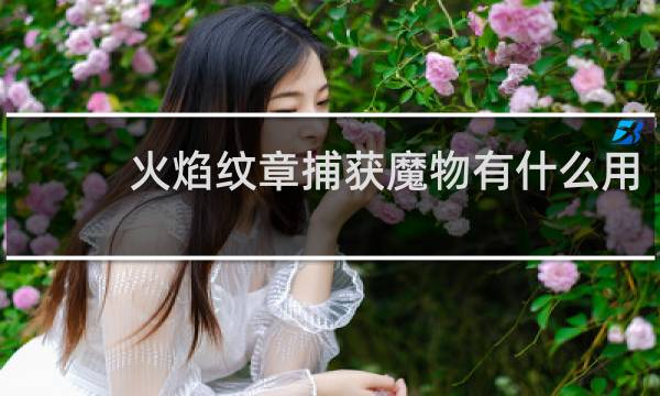 火焰纹章捕获魔物有什么用
