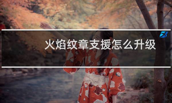 火焰纹章支援怎么升级