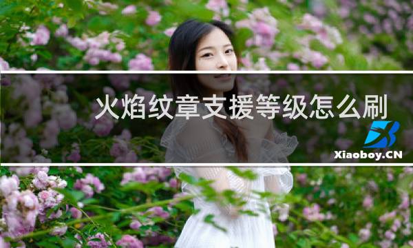 火焰纹章支援等级怎么刷
