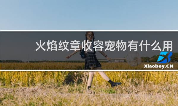 火焰纹章收容宠物有什么用