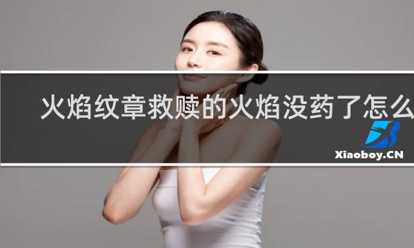 火焰纹章救赎的火焰没药了怎么办