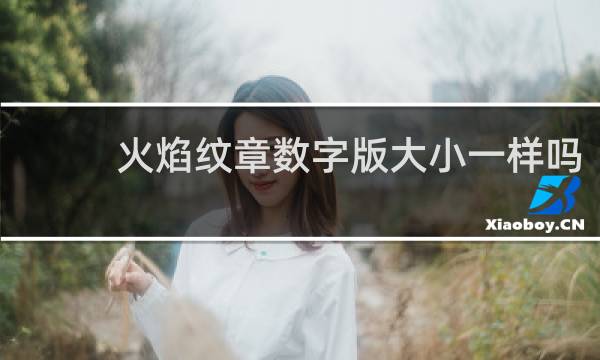 火焰纹章数字版大小一样吗