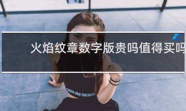火焰纹章数字版贵吗值得买吗