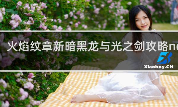 火焰纹章新暗黑龙与光之剑攻略nds版