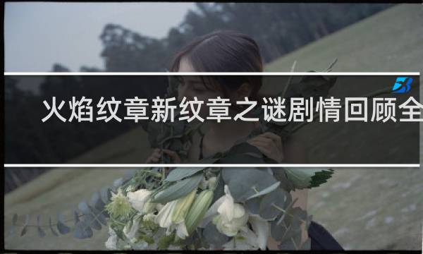 火焰纹章新纹章之谜剧情回顾全开
