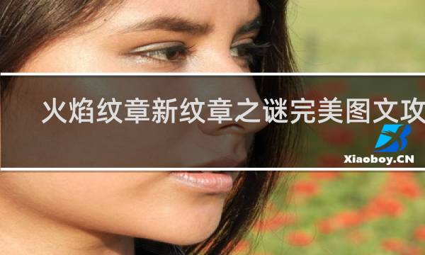 火焰纹章新纹章之谜完美图文攻略