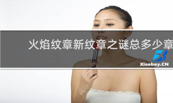 火焰纹章新纹章之谜总多少章