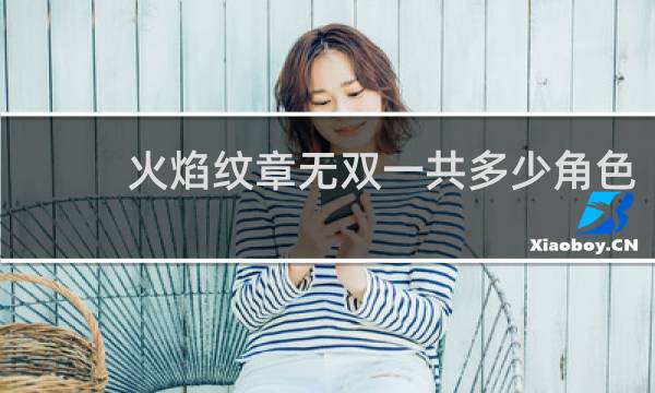 火焰纹章无双一共多少角色