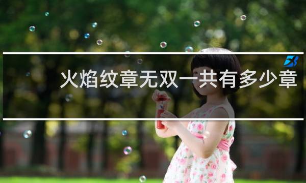 火焰纹章无双一共有多少章