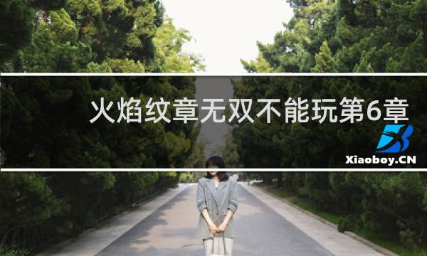 火焰纹章无双不能玩第6章