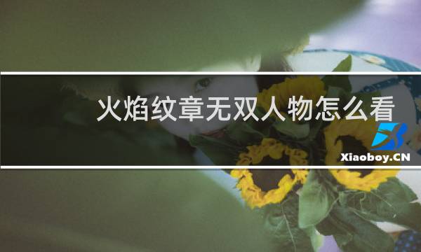 火焰纹章无双人物怎么看