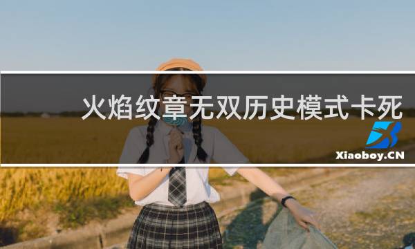 火焰纹章无双历史模式卡死