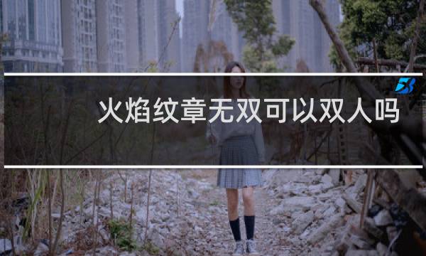 火焰纹章无双可以双人吗