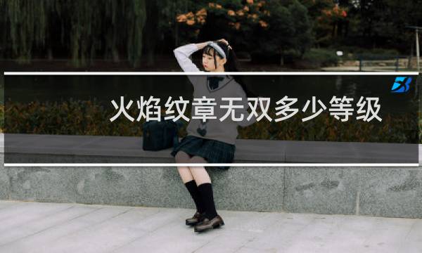 火焰纹章无双多少等级