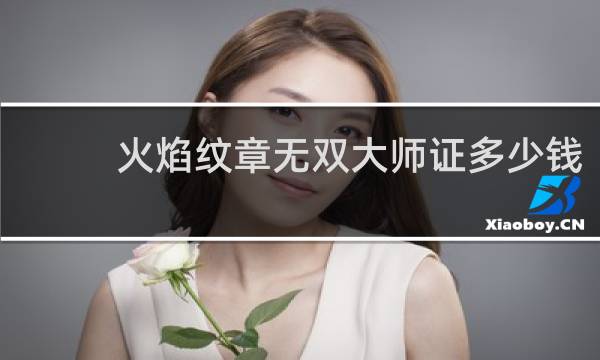火焰纹章无双大师证多少钱