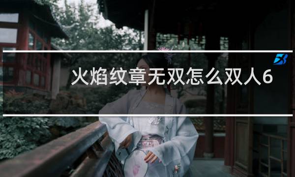 火焰纹章无双怎么双人6
