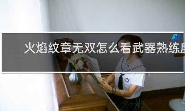 火焰纹章无双怎么看武器熟练度