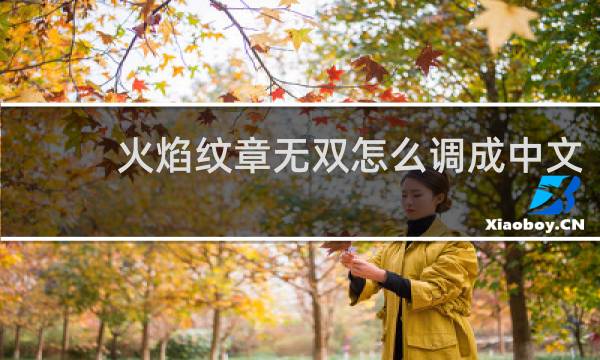 火焰纹章无双怎么调成中文