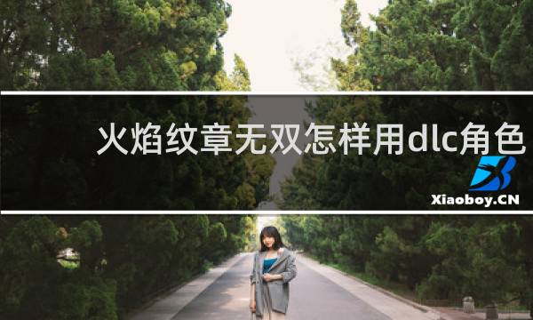 火焰纹章无双怎样用dlc角色