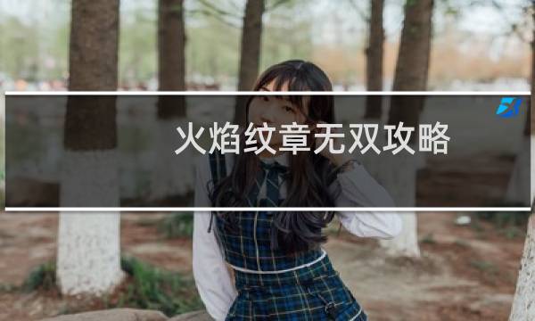 火焰纹章无双攻略