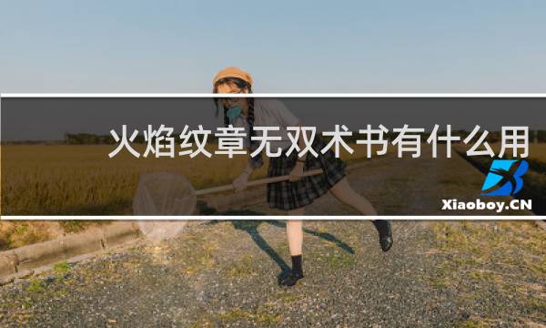 火焰纹章无双术书有什么用