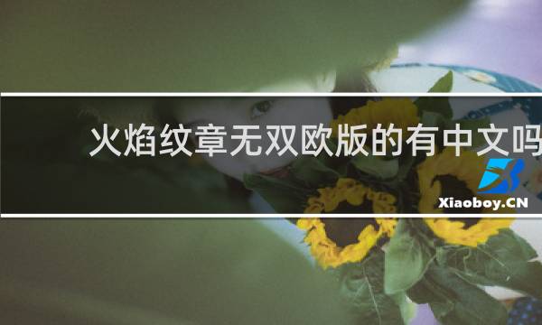 火焰纹章无双欧版的有中文吗