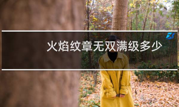 火焰纹章无双满级多少