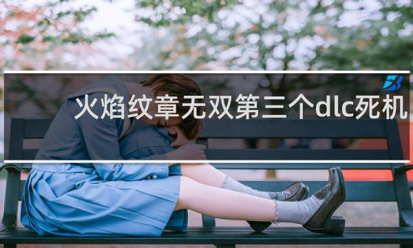 火焰纹章无双第三个dlc死机