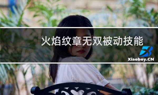 火焰纹章无双被动技能