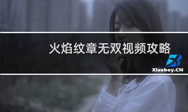 火焰纹章无双视频攻略