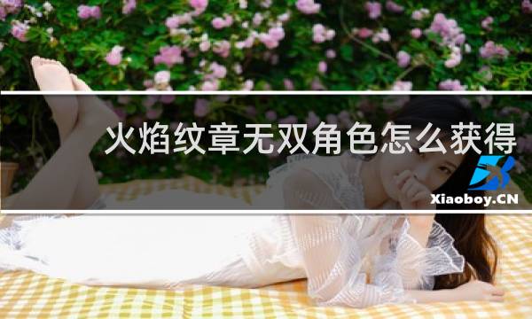 火焰纹章无双角色怎么获得