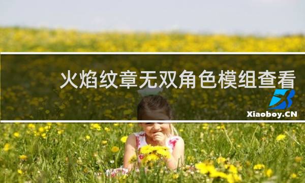 火焰纹章无双角色模组查看