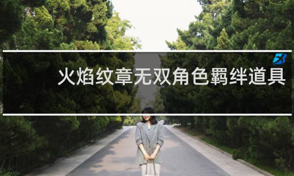 火焰纹章无双角色羁绊道具