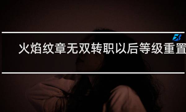 火焰纹章无双转职以后等级重置吗