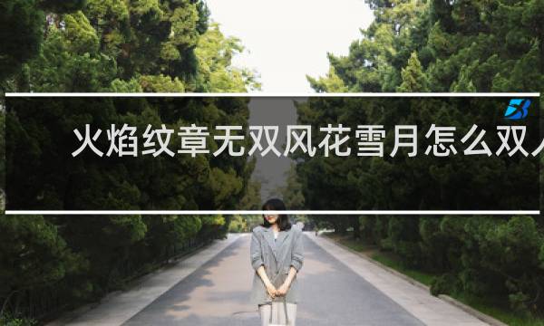 火焰纹章无双风花雪月怎么双人