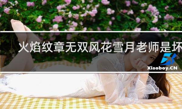 火焰纹章无双风花雪月老师是坏人