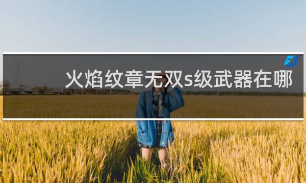 火焰纹章无双s级武器在哪